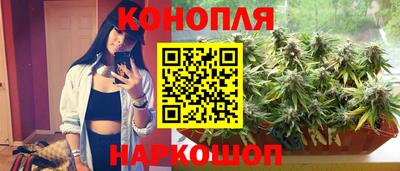 мяу мяу мука Нальчик