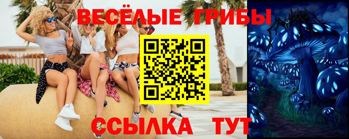 Псилоцибиновые грибы GOLDEN TEACHER Якутск